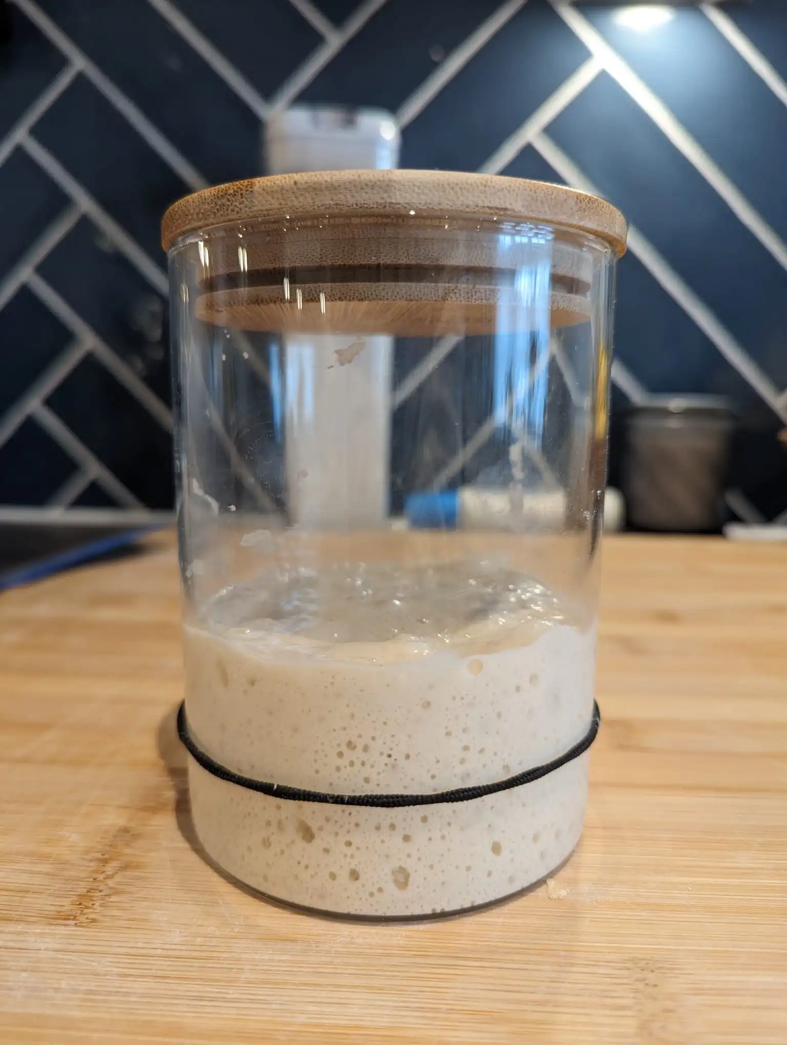 Jarred sourdough starter doubled in size