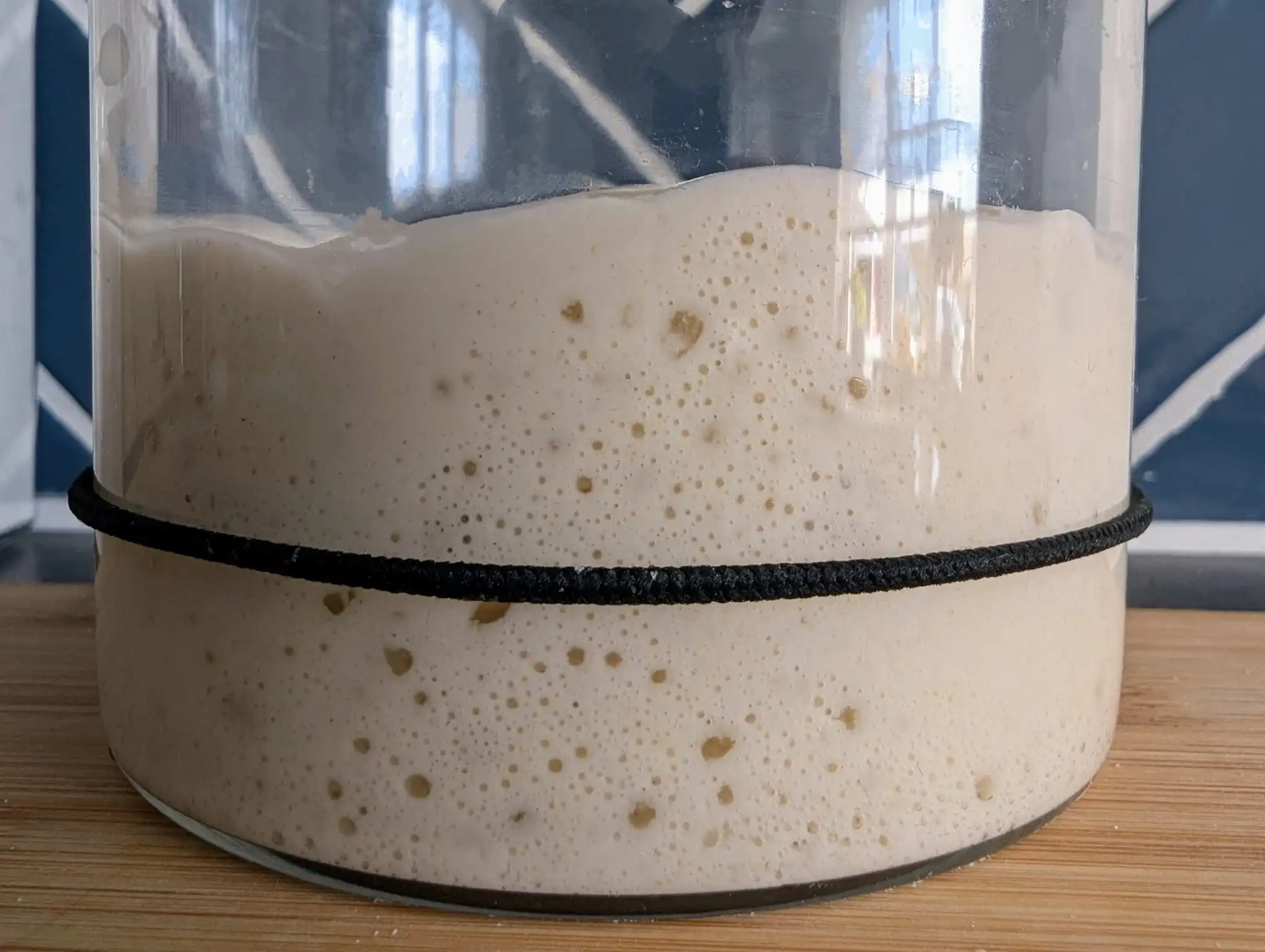 Close up of jarred sourdough starter